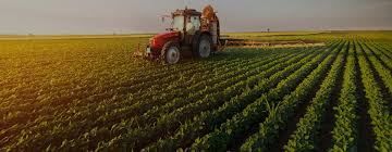 Agriculture